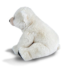 Load image into Gallery viewer, Polar Bear Baby 12in (Cuddlekins)