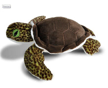 Load image into Gallery viewer, Green Sea Turtle 15in (Cuddlekins)