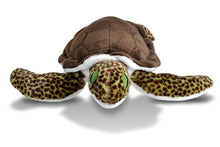 Load image into Gallery viewer, Green Sea Turtle 15in (Cuddlekins)