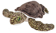 Load image into Gallery viewer, Green Sea Turtle 15in (Cuddlekins)