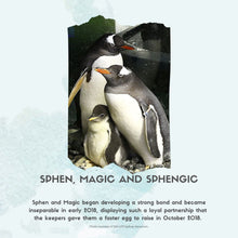 Load image into Gallery viewer, Sphengic, A True Love is Love Story about Family