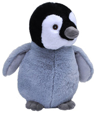 Load image into Gallery viewer, ECOKINS Penguin Chick 12in