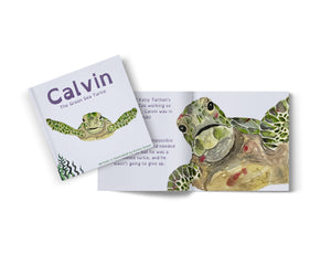 Calvin the Green Sea Turtle (NZ Shipping)