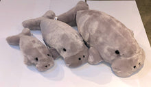 Load image into Gallery viewer, Dugong Small 11in Grey