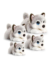 Load image into Gallery viewer, Husky Cuddle Pup Medium 32cm