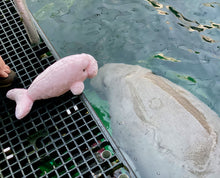 Load image into Gallery viewer, Dugong Medium 17in Pink