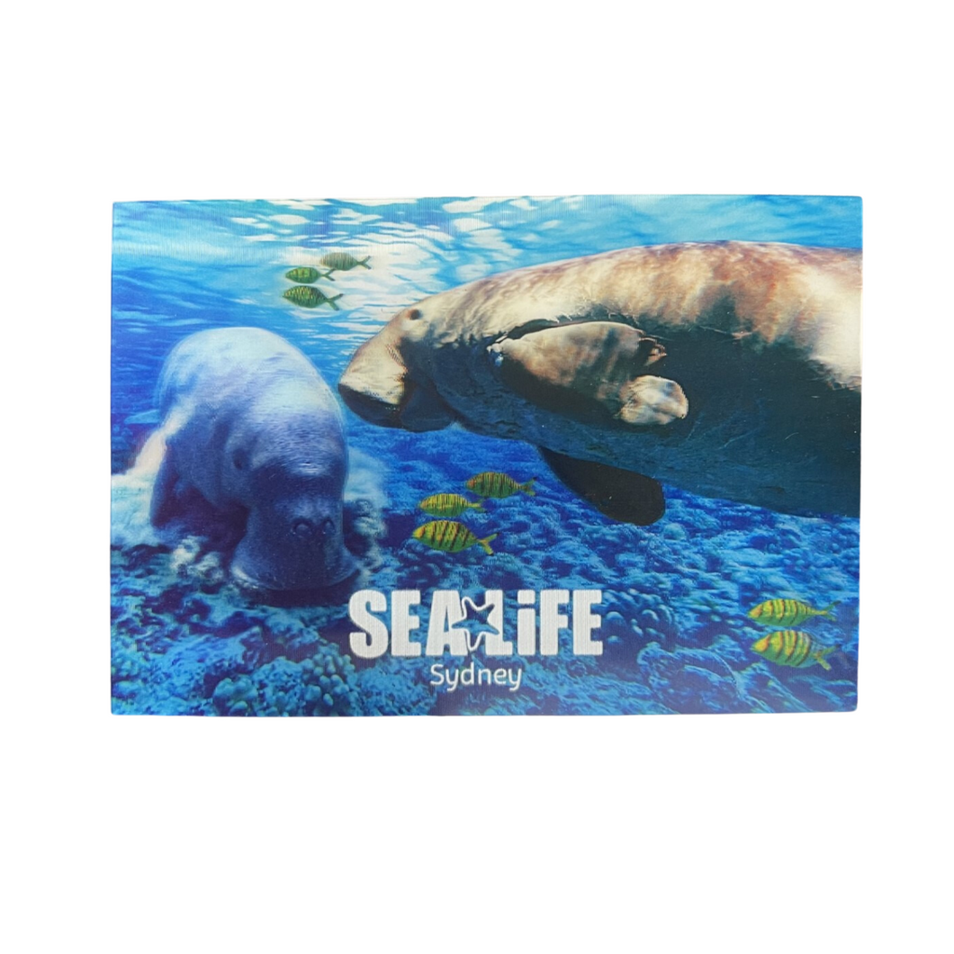 SEA LIFE 3D Holographic Dugong Postcard