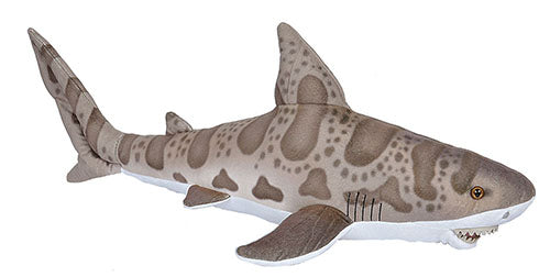 Living Ocean Leopard Shark 20in