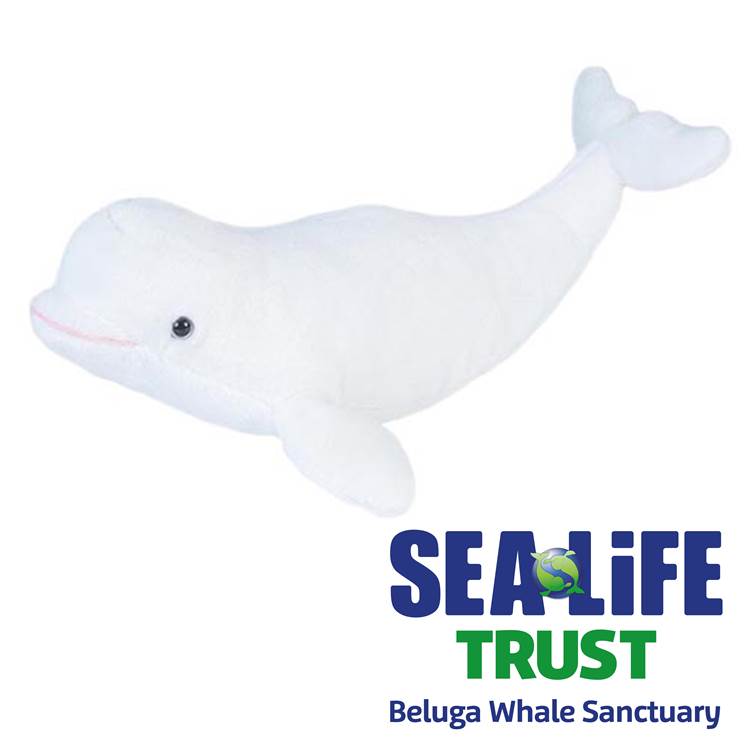 Beluga Whale Mini 8in (Cuddlekins)