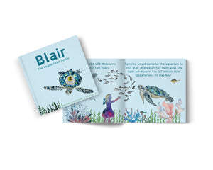 Blair the Loggerhead Turtle (NZ Shipping)