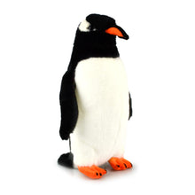 Load image into Gallery viewer, Gentoo Penguin
