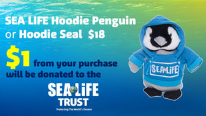 SEA LIFE Hoodie Seal