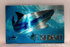 SEA LIFE Metallic Foil Magnet