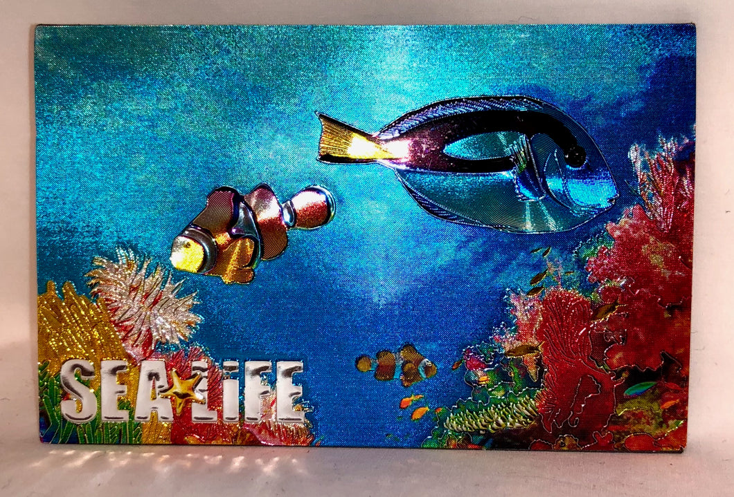 SEA LIFE Metallic Foil Magnet