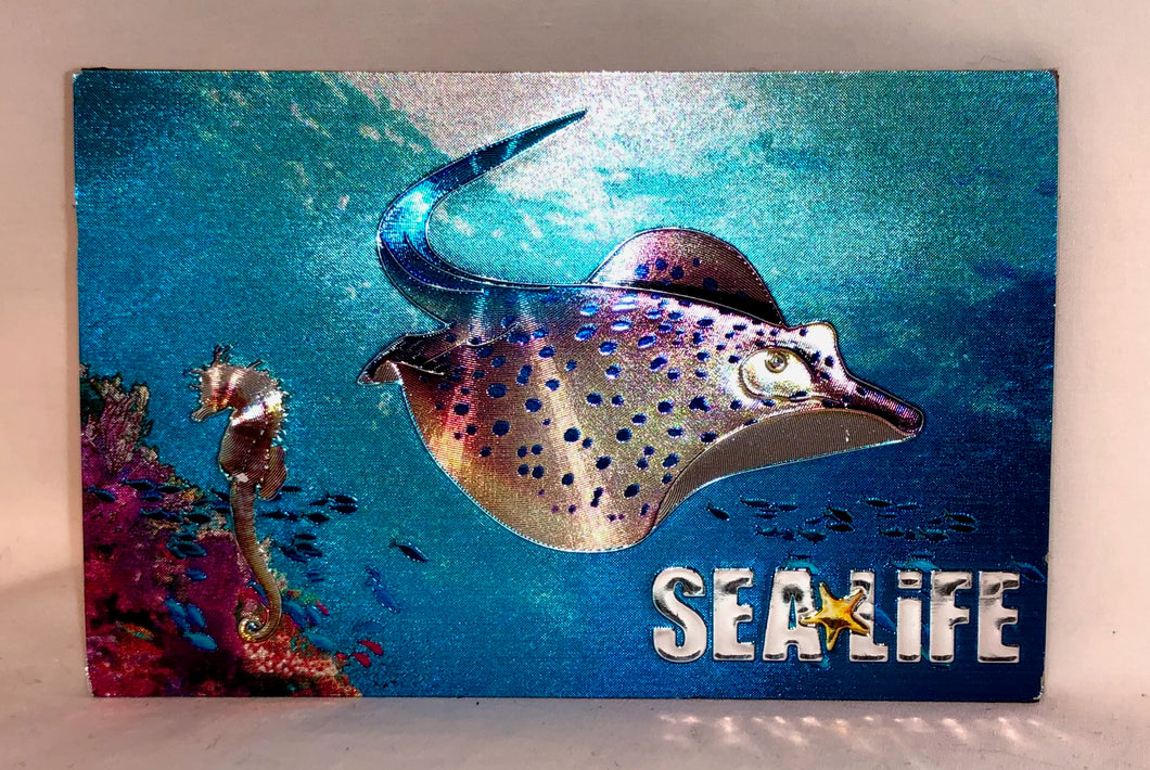 SEA LIFE Metallic Foil Magnet
