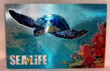 Load image into Gallery viewer, SEA LIFE Metallic Foil Magnet
