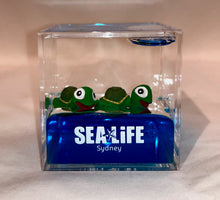 Load image into Gallery viewer, SEA LIFE Sydney Cube with Turtles in Blue Liquid
