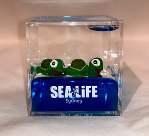 SEA LIFE Sydney Cube with Turtles in Blue Liquid