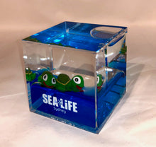 Load image into Gallery viewer, SEA LIFE Sydney Cube with Turtles in Blue Liquid
