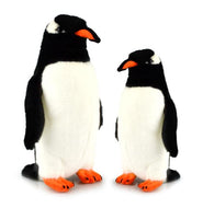 Gentoo Penguin