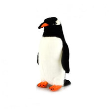 Load image into Gallery viewer, Gentoo Penguin
