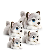 Load image into Gallery viewer, Husky Cuddle Pup Small 25cm
